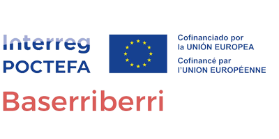 BASERRIBERRI