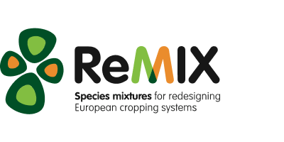 REMIX
