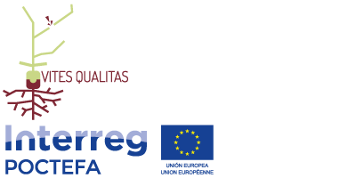 VITES QUALITAS